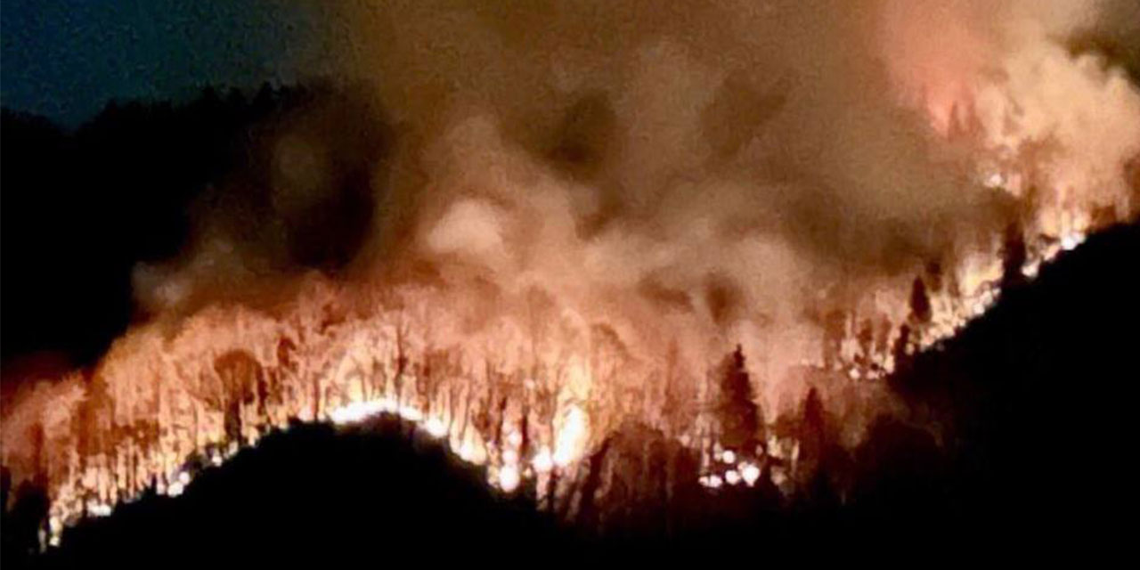 Rize’de Ormanlık Alanda Yangın