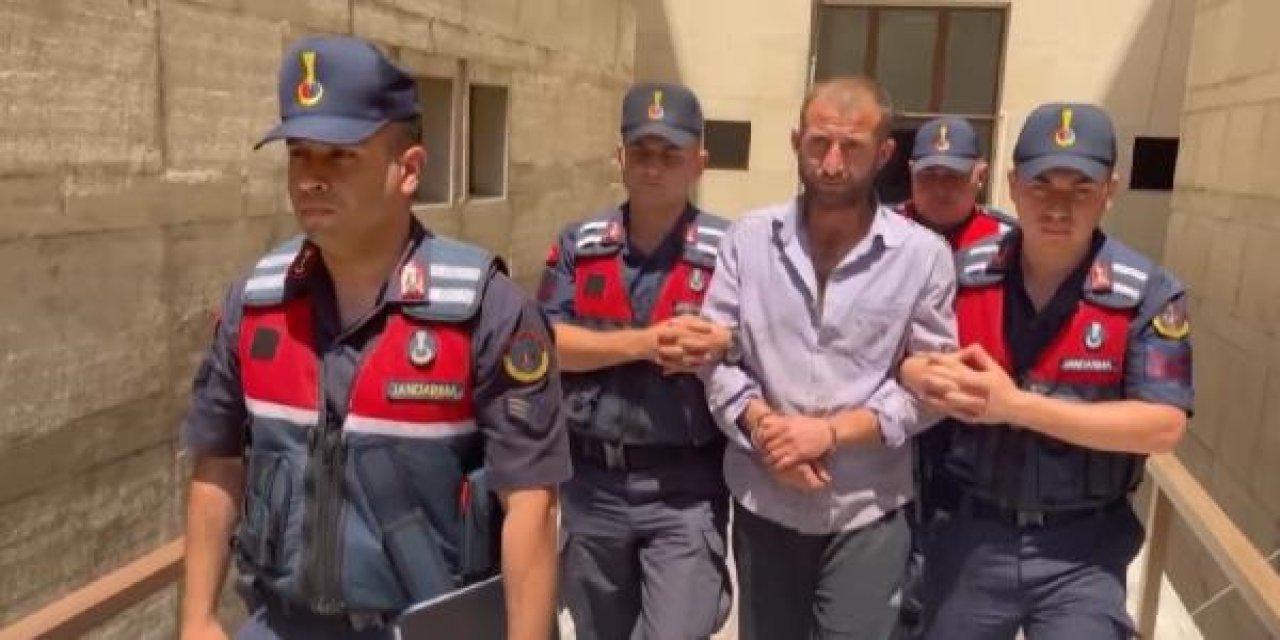 'Orman Sevdalısıyım' Demişti; Orman Yakmaktan 8 Yıl 4 Ay Hapis Cezası Aldı