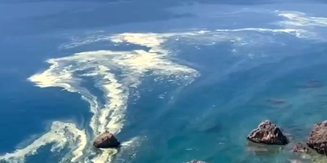 Denizdeki Polen, 'Müsilaj' Sanıldı