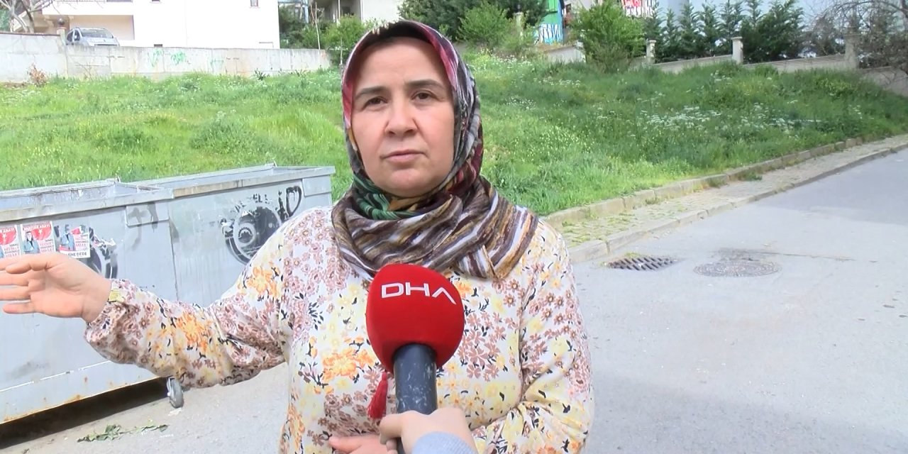 Kartal'da Sokak Köpeklerinin Saldırısına Uğrayan 7 Yaşındaki Çağrı'ya 30 Dikiş Atıldı