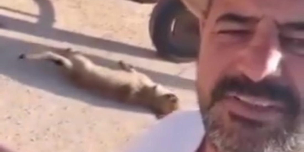 Öldürdüğü Köpeği At Arabası Arkasında Sürükleyip, Görüntüleyen Şüpheli Gözaltında