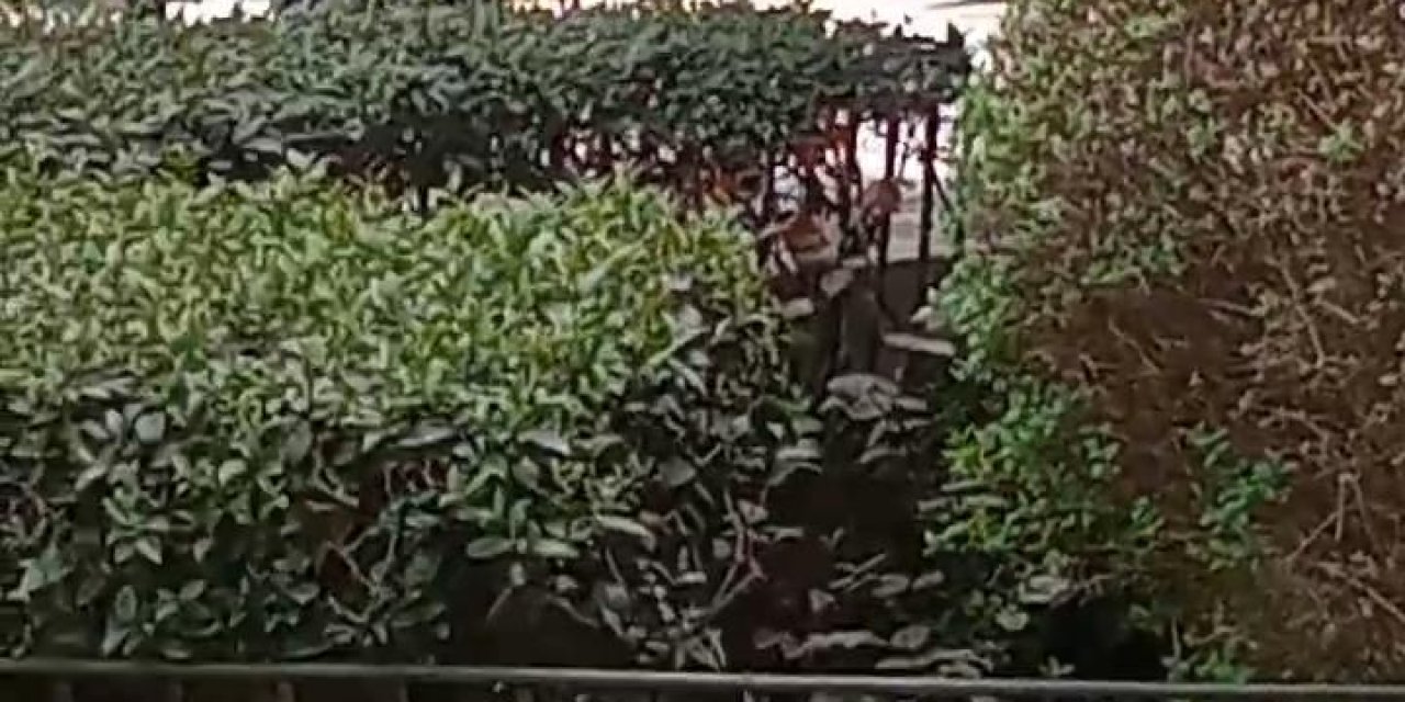 İstanbul - Beşiktaş'ta 29 Kişinin Öldüğü Yangından Yeni Görüntü