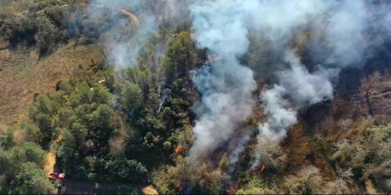 Arhavi’de örtü yangınında 4 hektarlık alanda zarar
