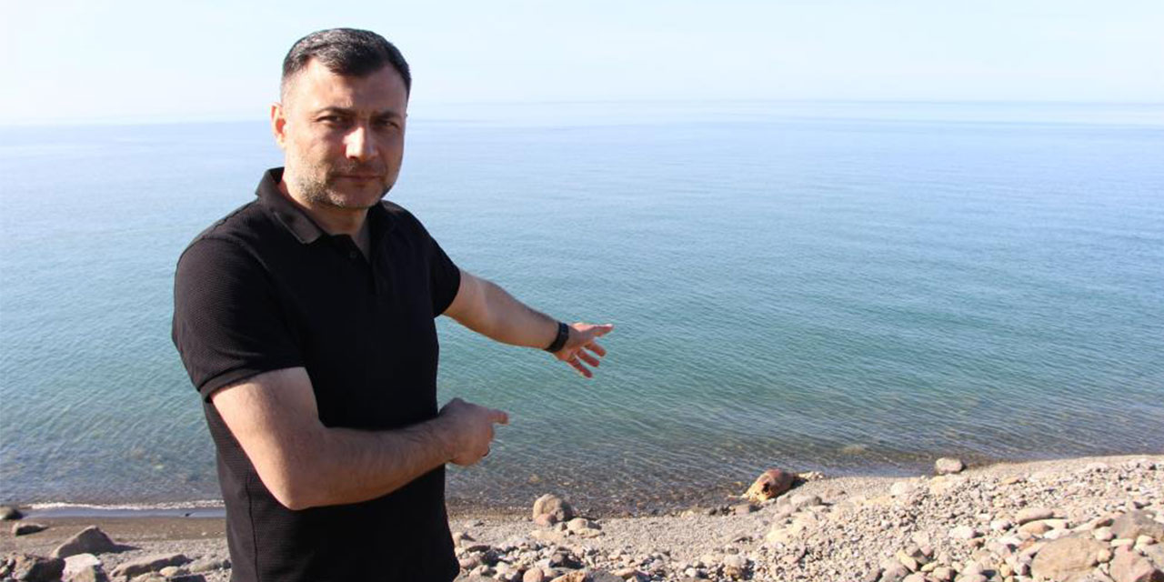 Bu inek 'Ferdinand' kadar şanslı olamadı