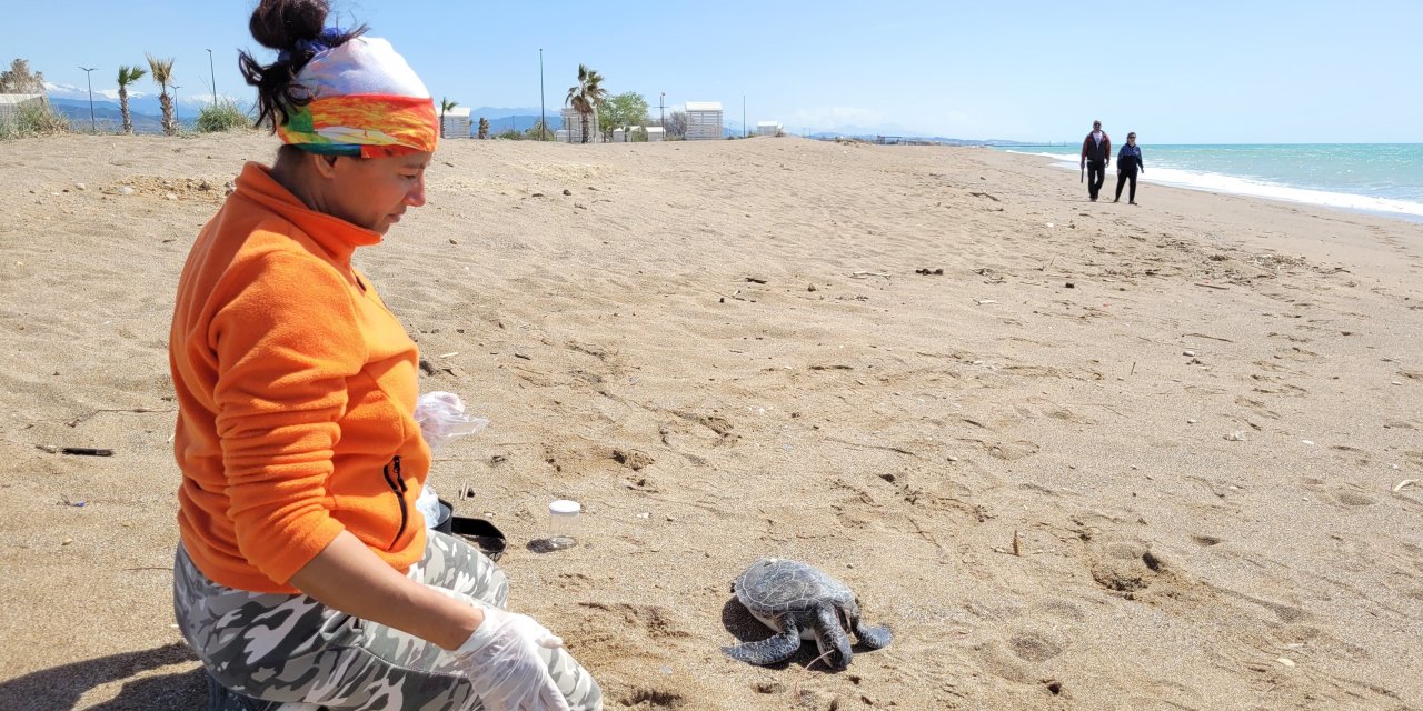 Nesli Tehlikedeki Yeşil Deniz Kaplumbağası Ölüsü Kıyıya Vurdu