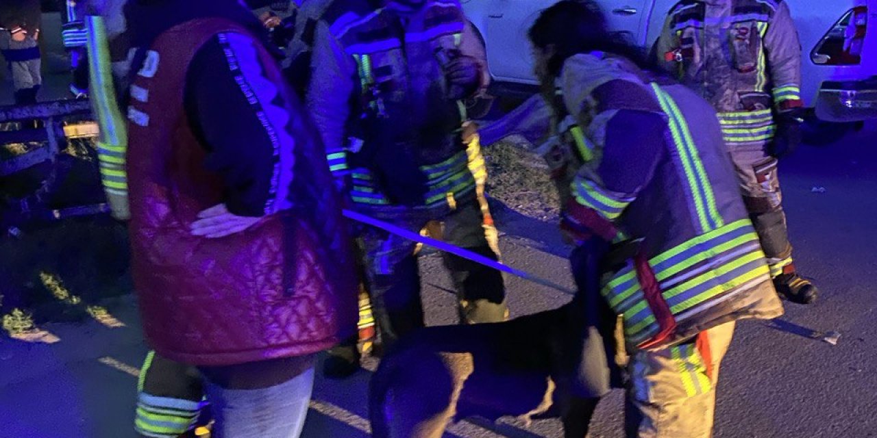 Ankara'da Hurdacılar Sitesi'nde Yangın (5)