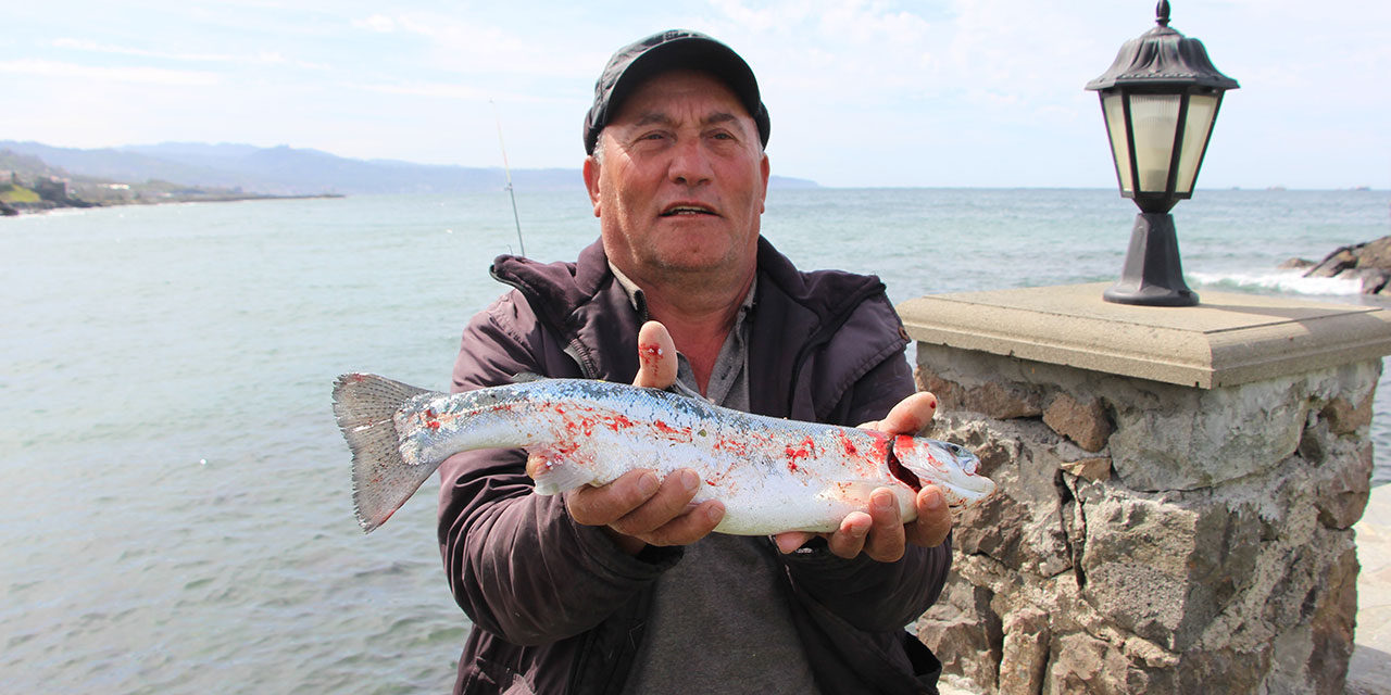 Trabzon'da somon kafesleri yırtıldı, oltasını alan sahile koştu