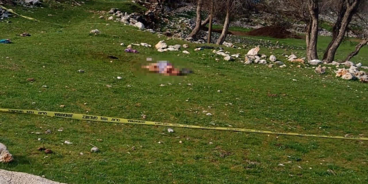 3 Köpeğin Saldırdığı Kadın Öldü