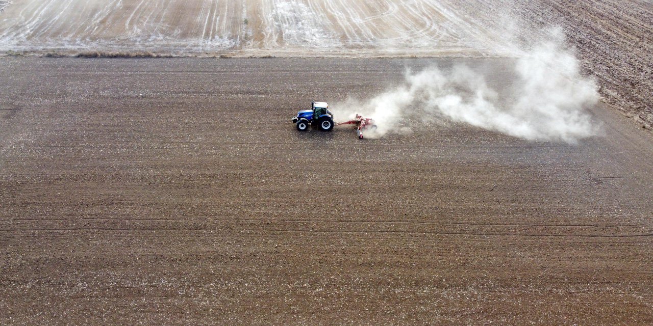 Prof. Dr. Kaya: Ayçiçeğinde Verim Kaybı Yaşamamak İçin Bir An Önce Ekim Yapılmalı