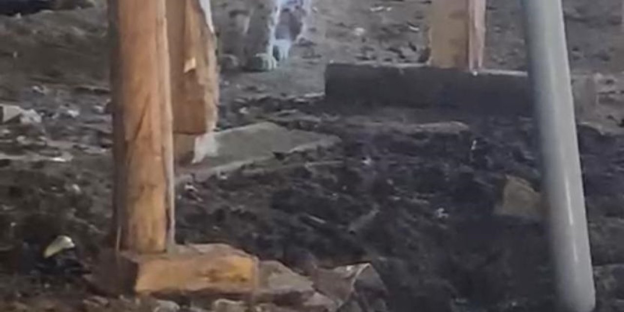 Sivas'ta Ahıra Giren Vaşak Kamerada