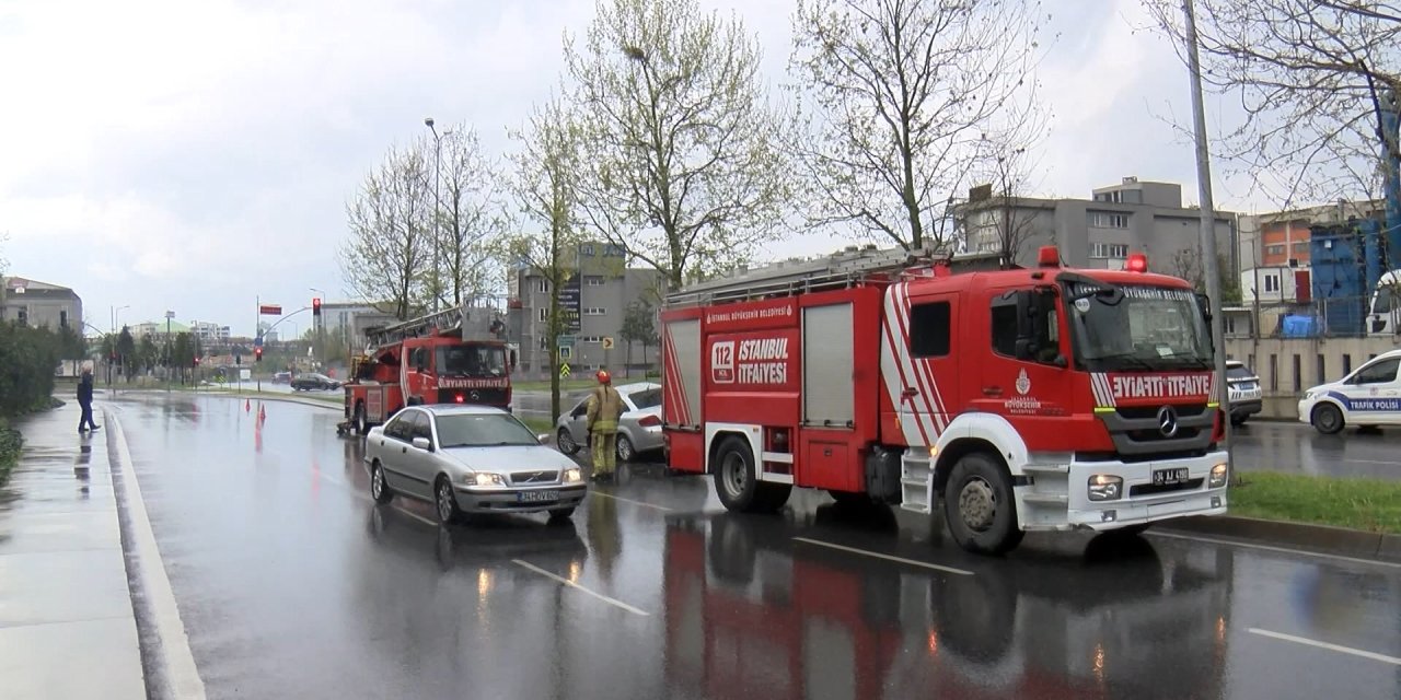 İstanbul - Başakşehir'de Kaza Sonrası Ağaçtan Düşen Yavru Kargalara İtfaiyeden Yardım Eli