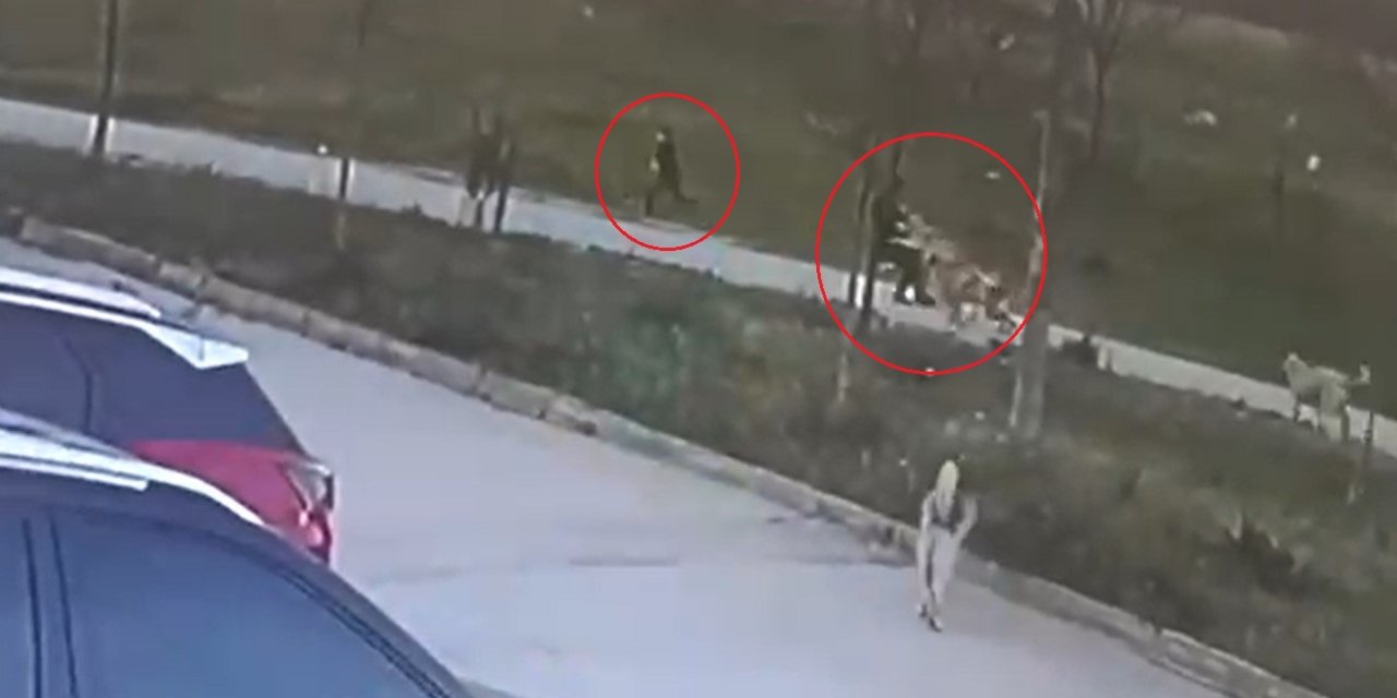 Oğlunu Köpeklerden Korumak İsterken Çenesi Kırılıp Elleri ve Kulağı Parçalandı; O Anlar Kamerada