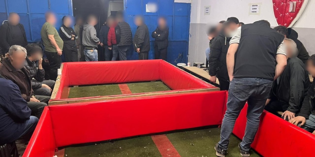 Horoz Dövüştürenlere 961 Bin Tl Ceza