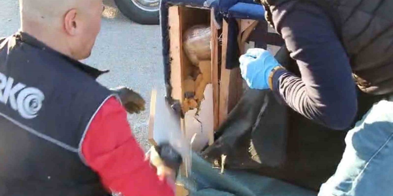 Çekyatın İçi Uyuşturucu Deposu Çıktı: 52 Kilo Uyuşturucu Ele Geçirildi