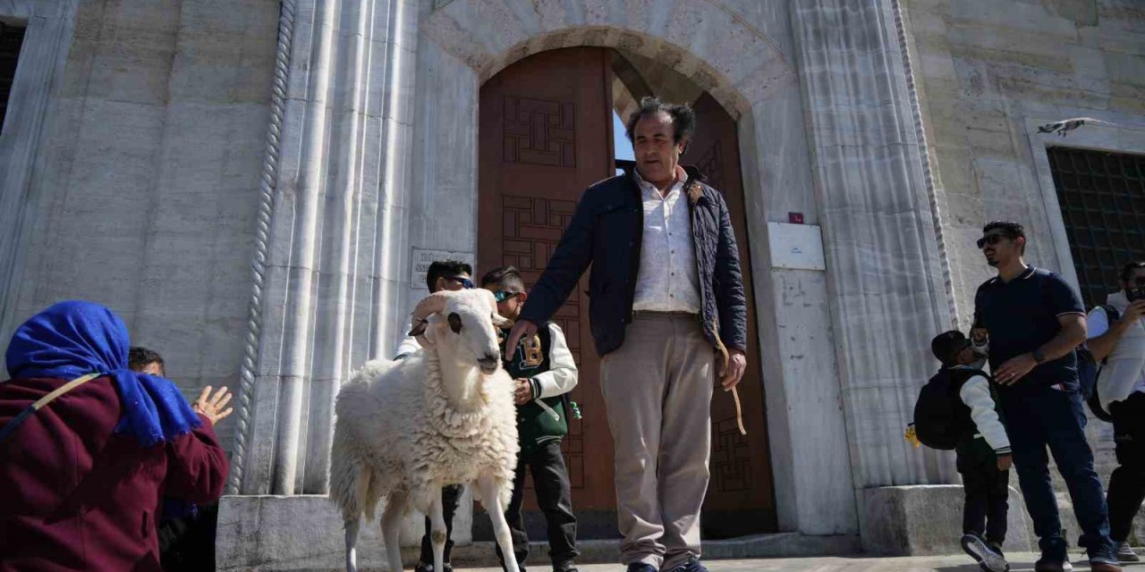 Eminönü’nde Yanında Gezdirdiği Koç İlgi Odağı Oldu