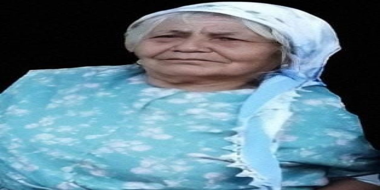 Hayvanlarına Bakarken Düşen 74 Yaşındaki Kadın Hayatını Kaybetti