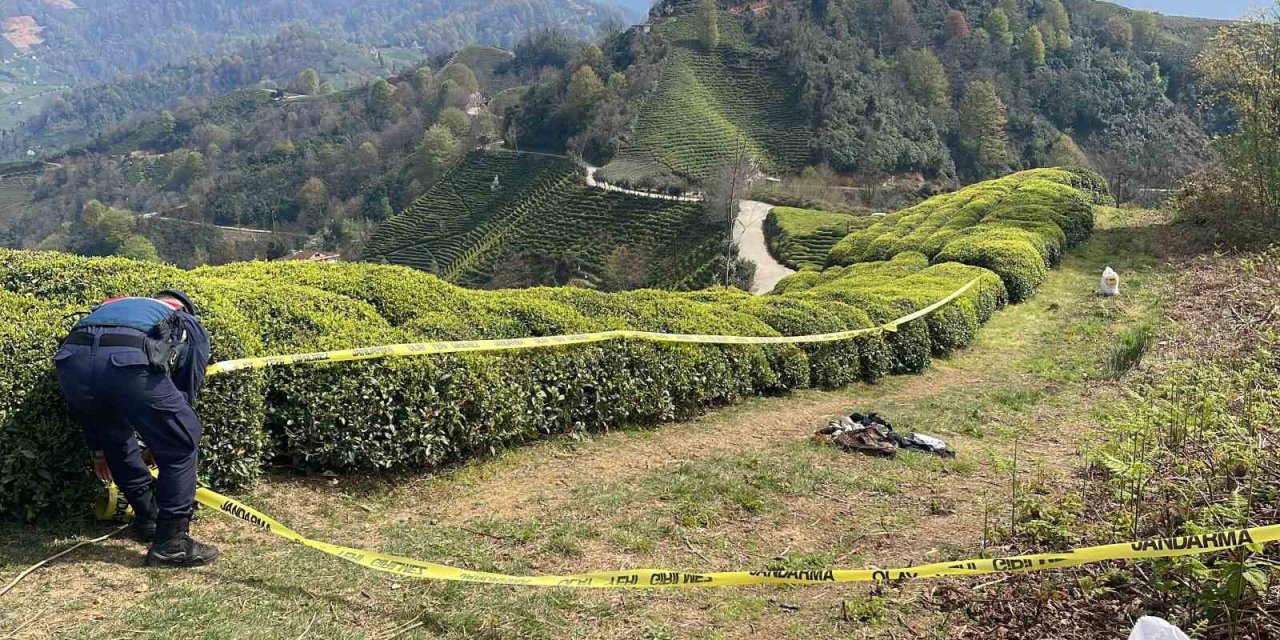 Rize’de Çay Bahçesinde Erkek Cesedi Bulundu
