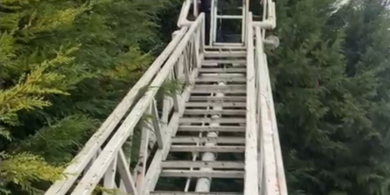 Çocukların Ağaçta Kalan Topunu İtfaiye Kurtardı