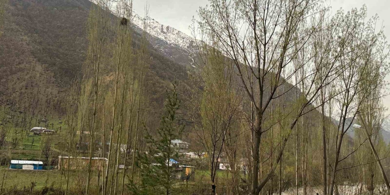 Şırnak’ta Dolu Yağışı Etkili Oldu