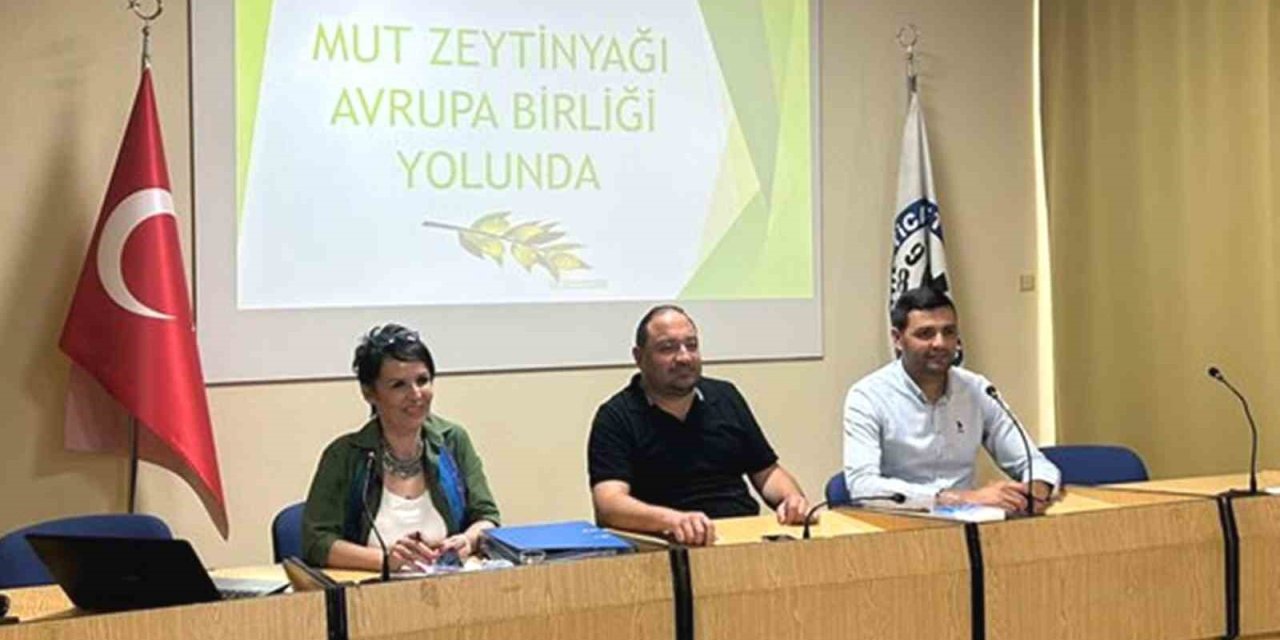 Ab Komisyonu Mut Zeytinyağını Kayıt Altına Aldı