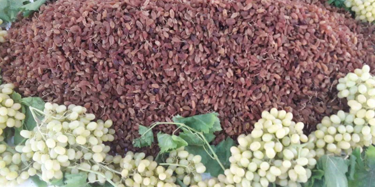 Türkiye’nin Sultani Çekirdeksiz Kuru Üzümünün İhraç Fiyatı Yüzde 29 Arttı