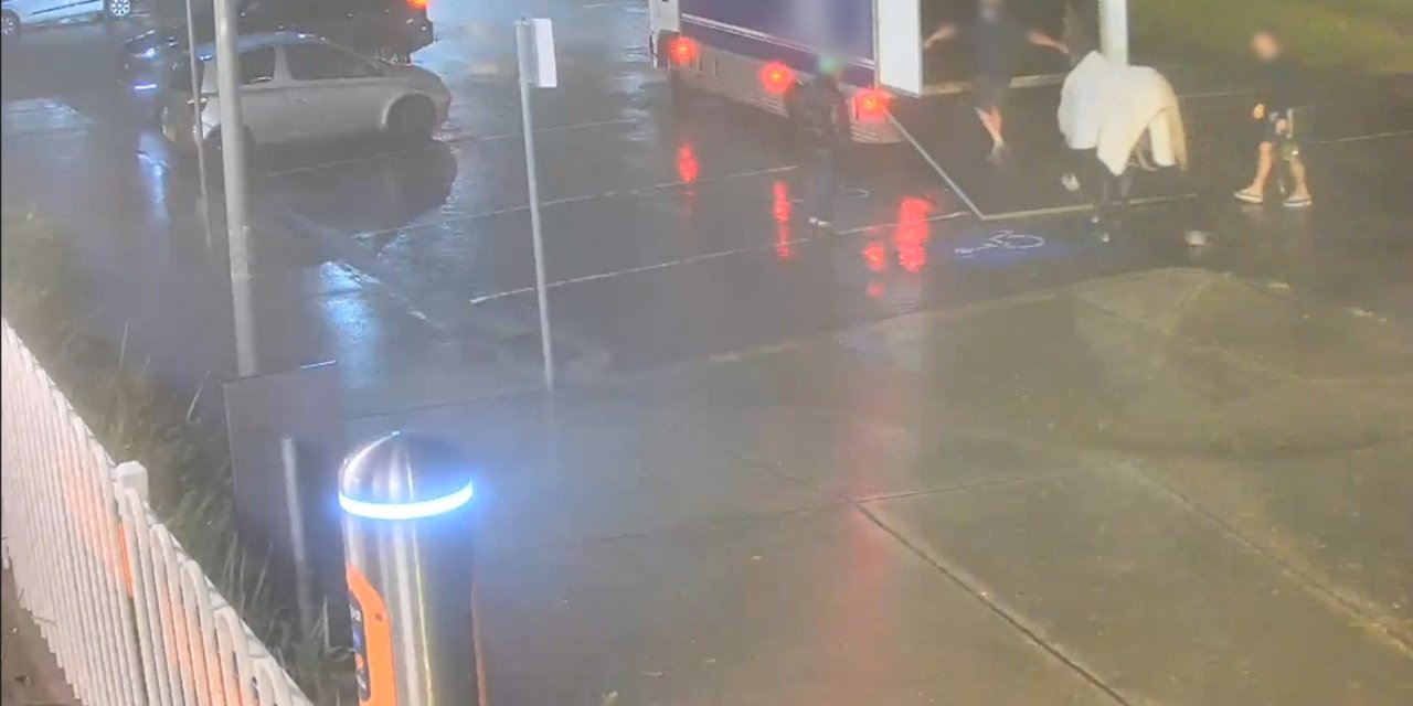 Avustralya’da Kaçan Yarış Atı, Tren İstasyonuna Daldı