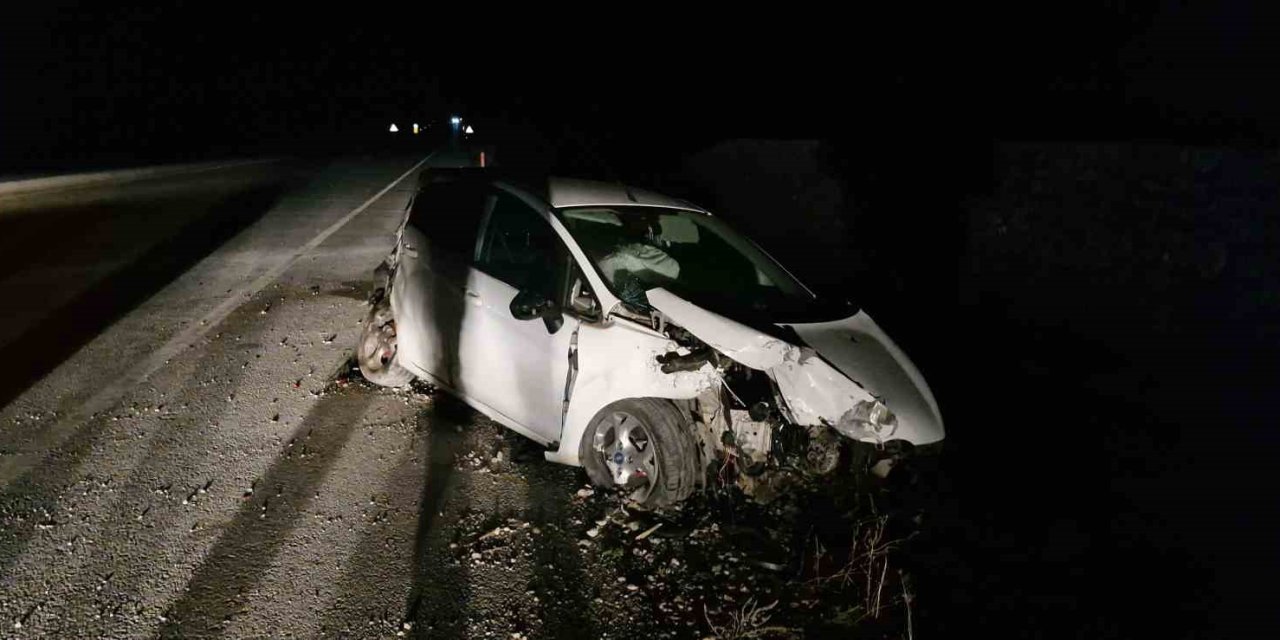 Köpeğe Çarpan Otomobili Görünce Manevra Yaptı, Aracıyla Şarampole Uçtu