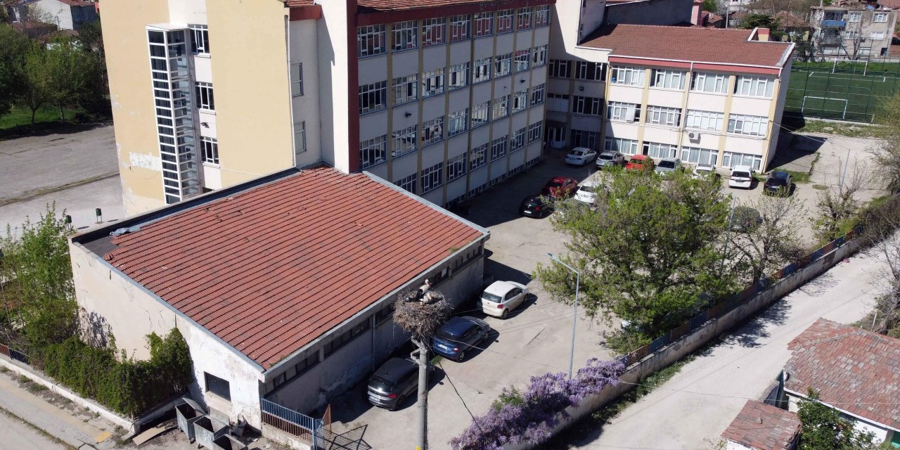 Her Baharda Gelen Leylekler 'İsmayıl' Ve 'Fatme' Lisenin Maskotu Oldu