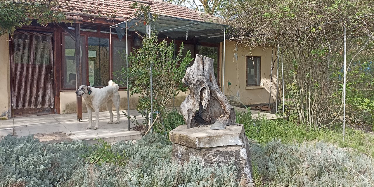 Korhan Berzeg'den 300 Gündür Haber Yok:  Umudumuz Kalmadı, Ailesi Evi Kapattı