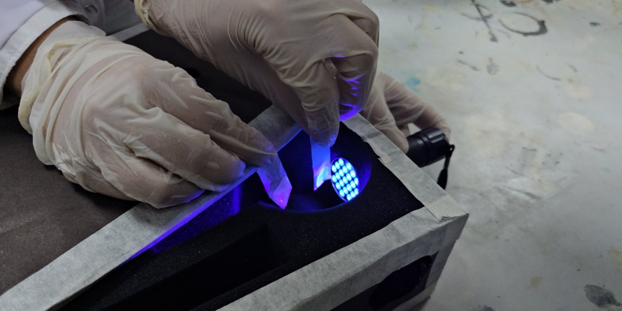 Liseliler, Balık Kılçığından Sudaki Cıva İyonlarını Tespit Eden Kit Geliştirdi