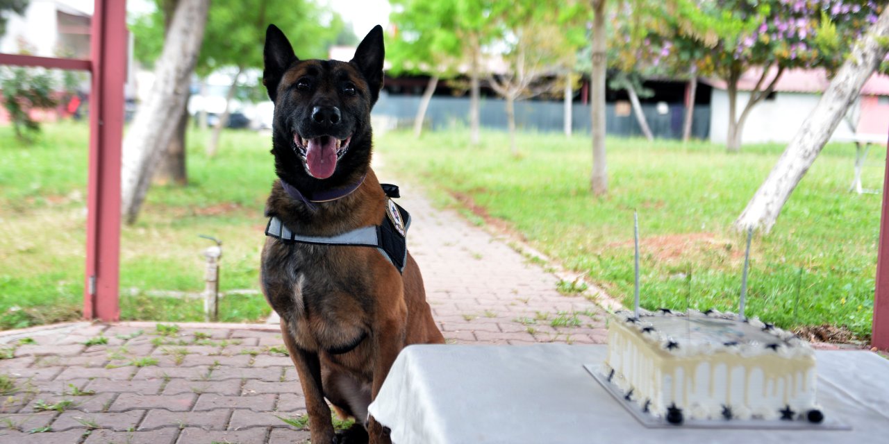 Ekip Arkadaşı Hulk’un 7’nci Yaşını Pastayla Kutladı: Baba Ve Oğul Gibiyiz