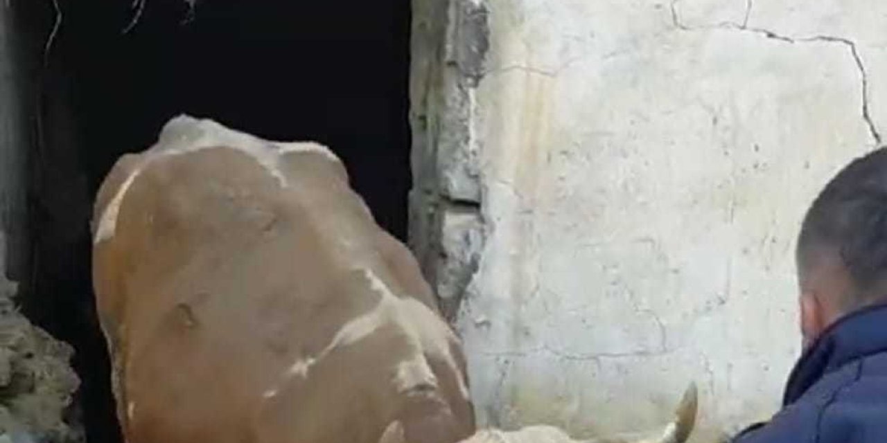 Malatya'da 2 Katlı Ahşap Ev Çöktü;  Alt Kattaki 6 Büyükbaş Kurtarıldı