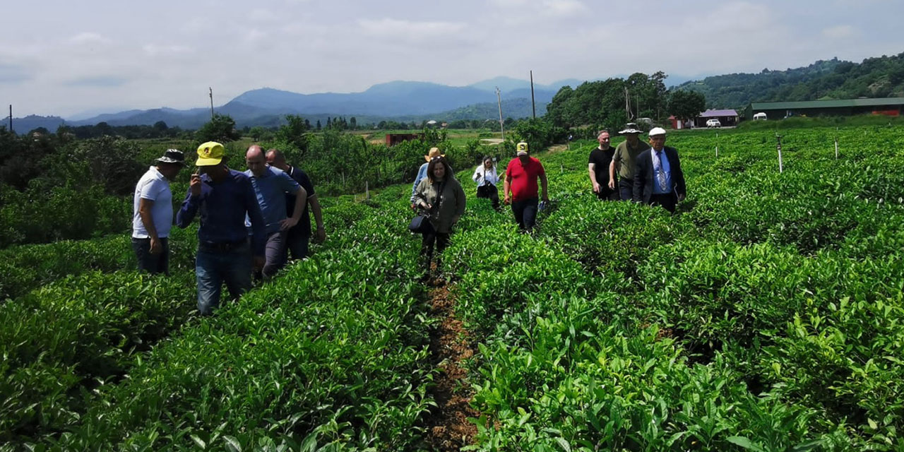 Recep Tayyip Erdoğan Üniversitesi Çay İhtisaslaşma Koordinatörlüğü Tarafından Azerbaycan'a Teknik Gezi Düzenlendi