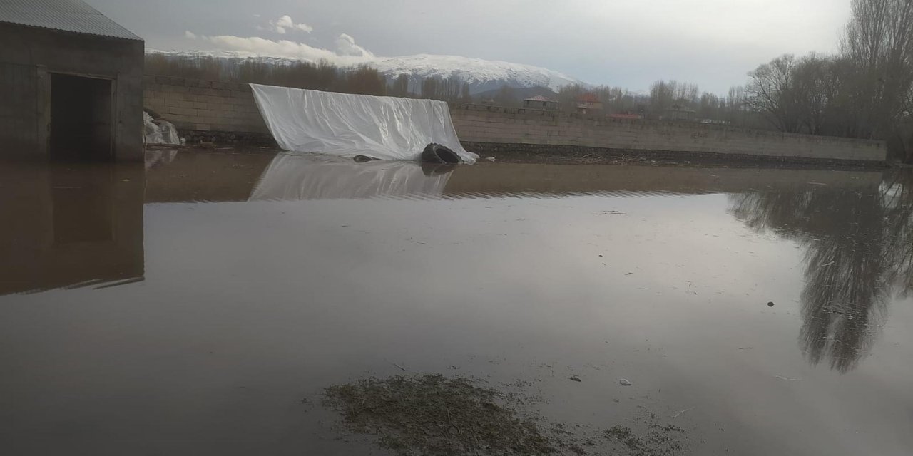 Ağrı'da Dere Taştı; Çok Sayıda Ev Su Altında Kaldı
