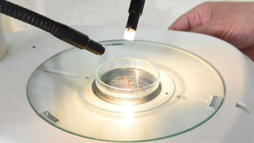 Uzmanlardan "Kenenin üzerine gaz yağı, benzin, çamaşır suyu dökmeyin" uyarısı