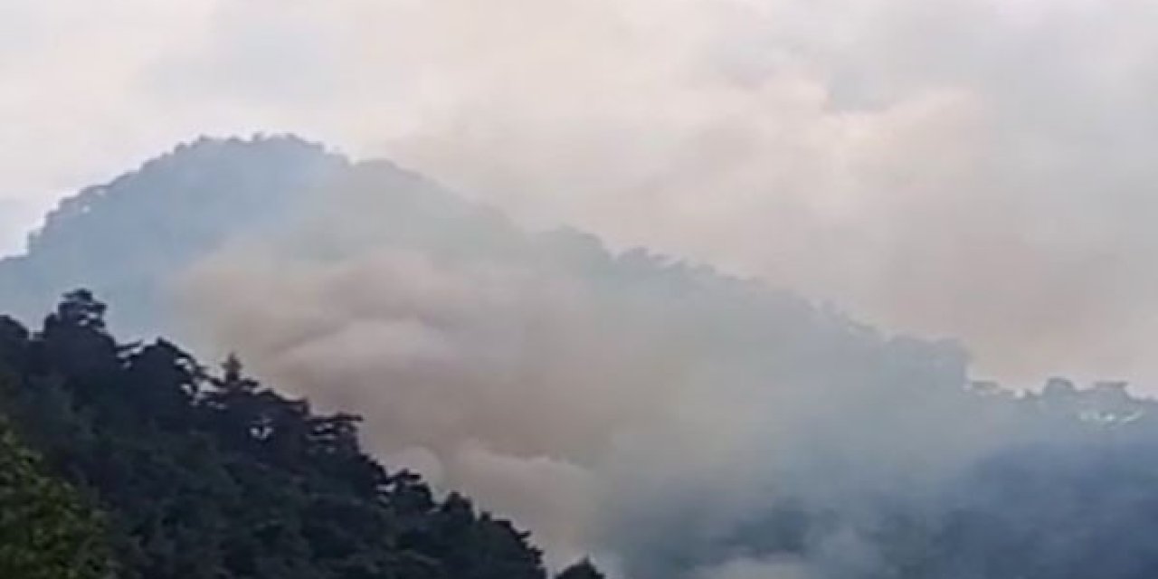 Kemer’de Orman Yangını