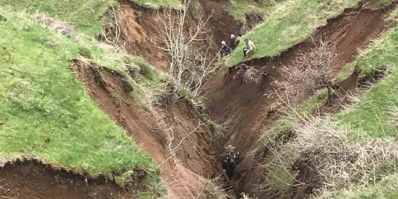 Güroymak’ta Toprak Kayması: Hayvanlar Vadiye Düştü