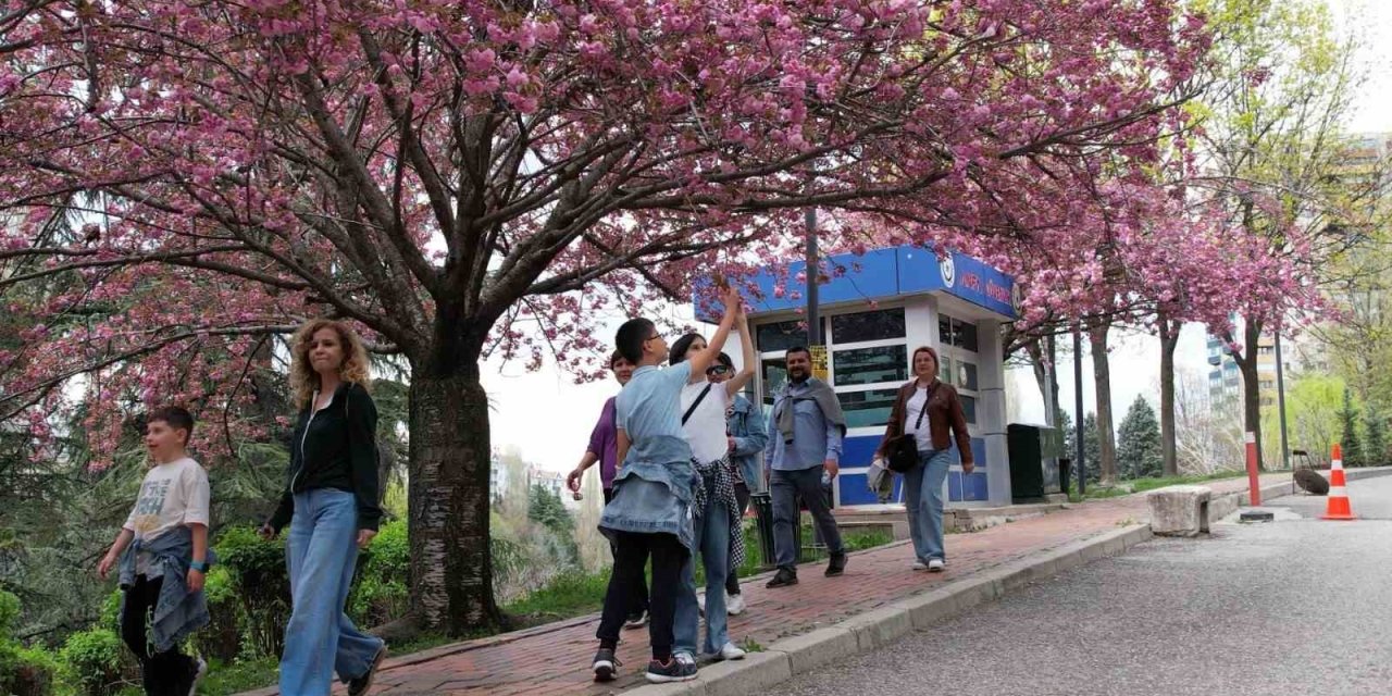 Başkentin Parklarına Vatandaşlardan Yoğun İlgi