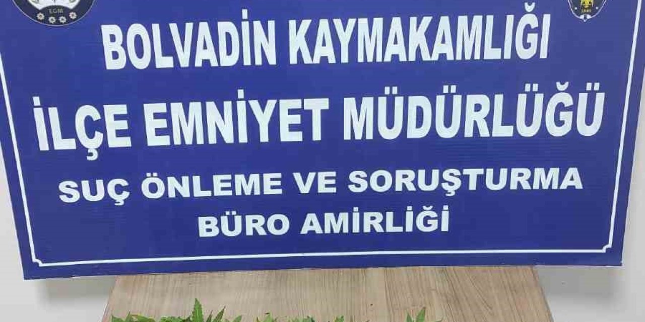 Kova İçerisine Ekili Vaziyette 119 Kök Hint Keneviri Ele Geçirildi