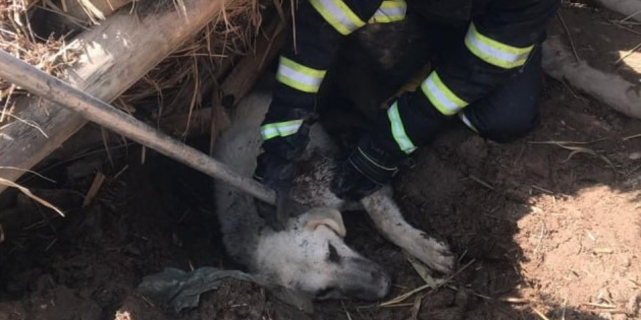 Göçük Altında Kalan Köpeği İtfaiye Kurtardı