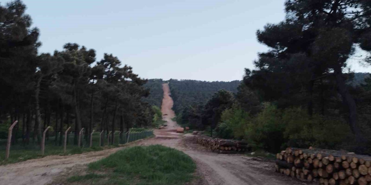 Aydos Ormanında Çıkan Yangın Söndürüldü