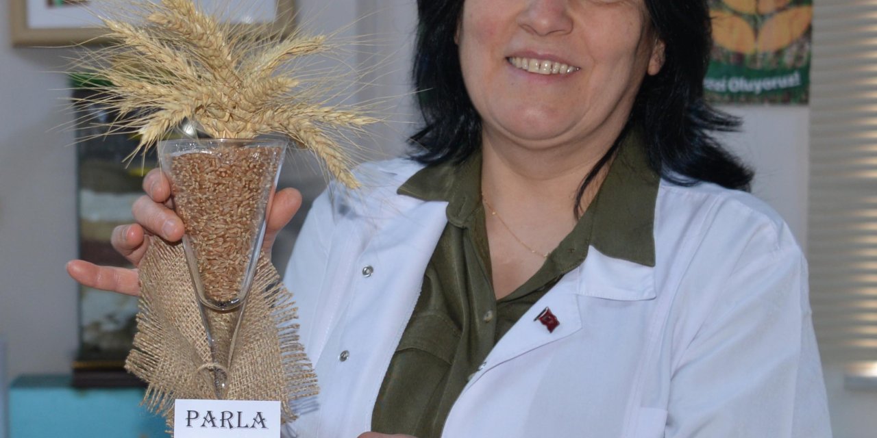 Tarım Sektörü 'Parla' İle Parlayacak