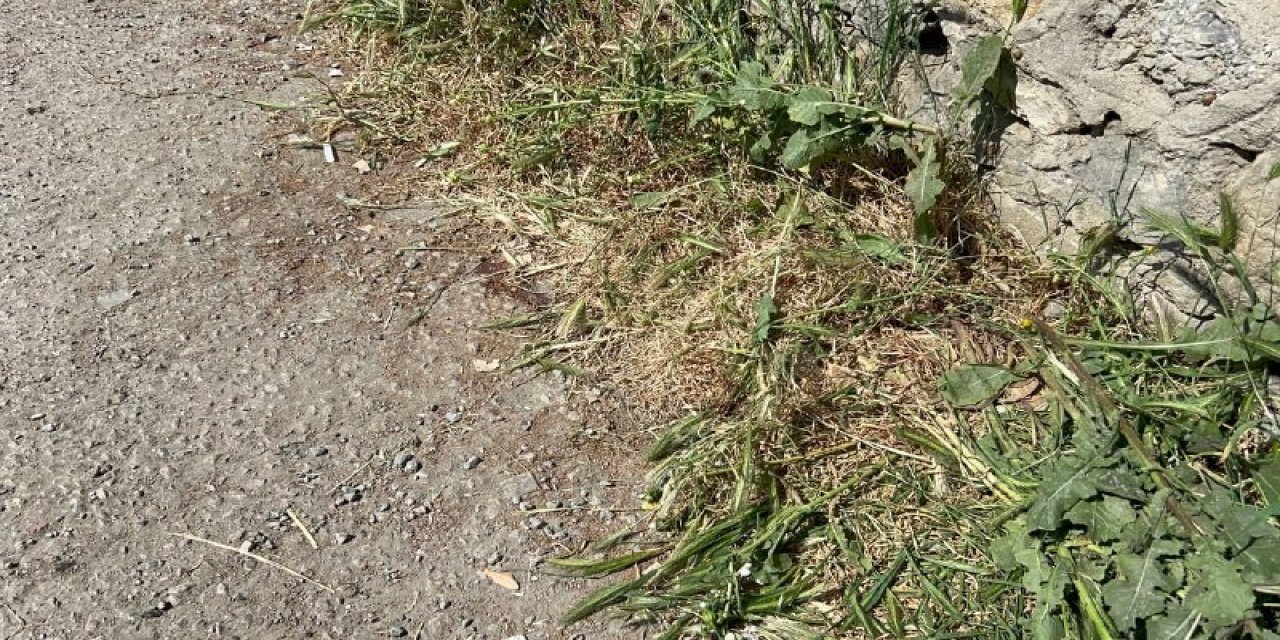 -  Pendik'te Eski Boksör Arkadaşını Döverek Öldürdü, Mezarlığa Bırakıp Kaçtı