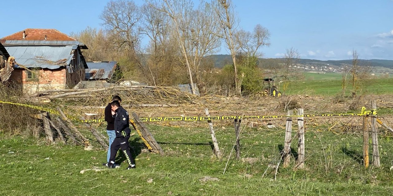 Ağacın Altında Kalarak Yaşamını Yitirdi