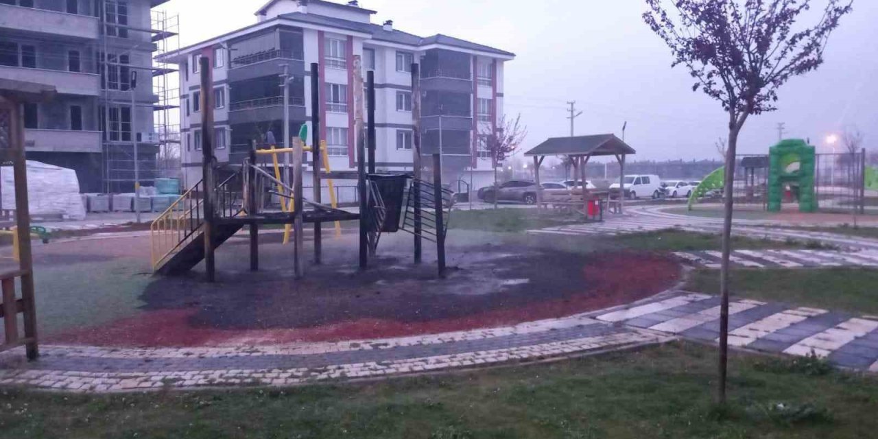 Parkı Kundaklayan Genç Yakalandı