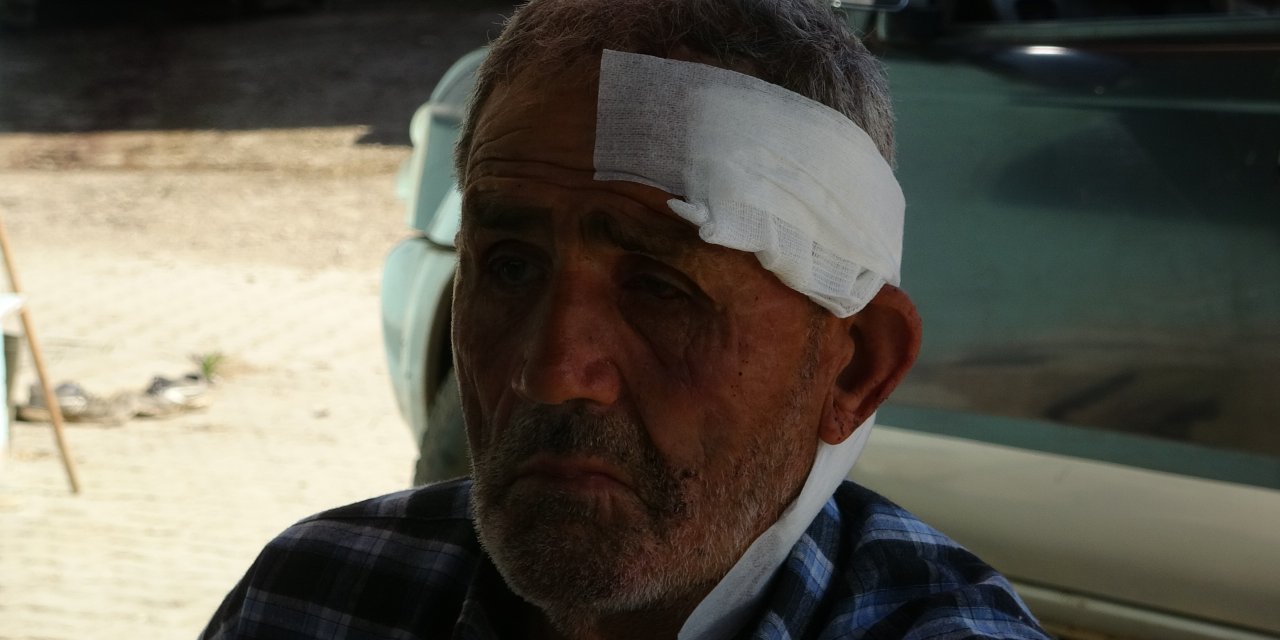 72 Yaşındaki Çoban, Başıboş Köpek Saldırısında Yaralandı