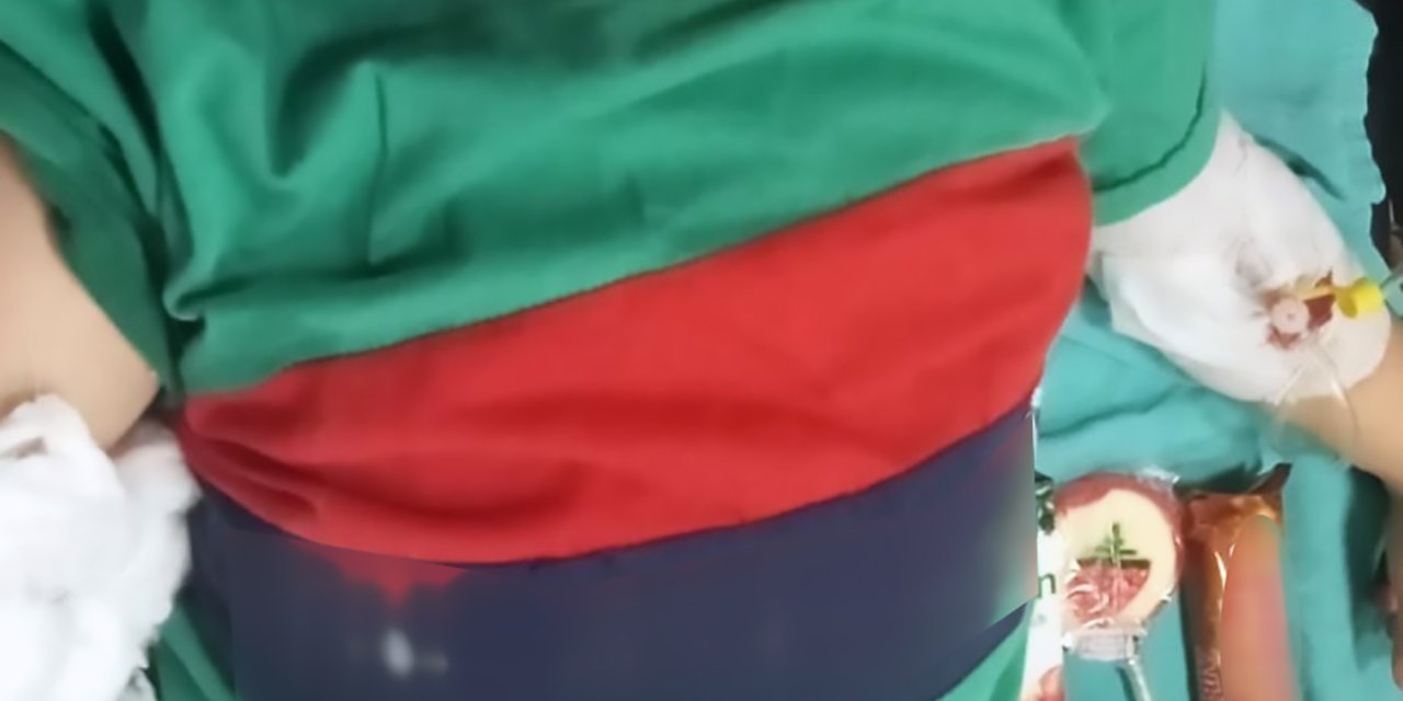 Bayram Ziyaretinden Dönen Asel, Köpek Saldırısında Yaralandı