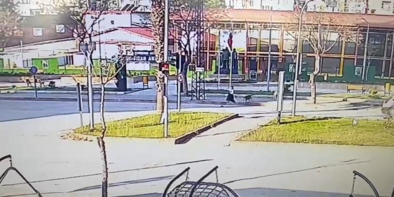 Köpeklerin Kovaladığı Genç Kıza Otomobil Çarptı