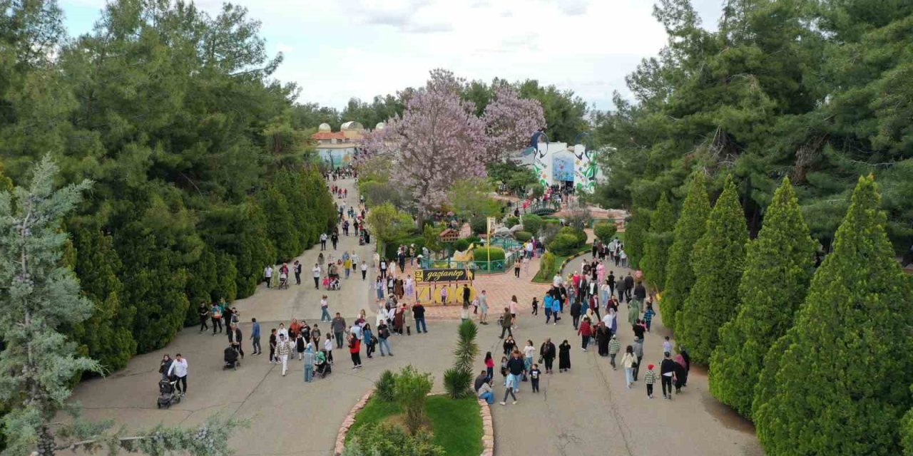 Gaziantep Doğal Yaşam Parkı’na Bayramda Ziyaretçi Akını