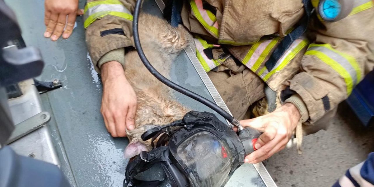 İzmir İtfaiyesinden Yürekleri Isıtan Kurtarma